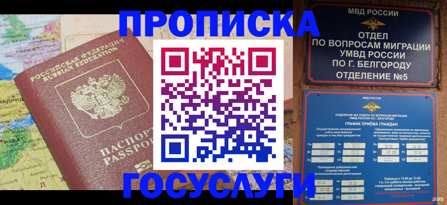 прописка регистрация в Чкаловске